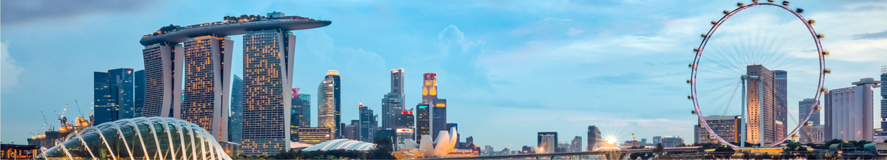 Best of Singapore